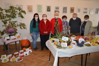 Výstava ovocia a zeleniny